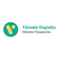 Logo Vicente Enguita, experto en finanzas empresariales